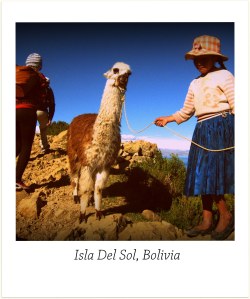 Ingvild, en alpakka og ei lita jente