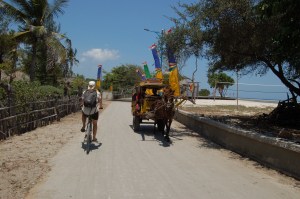 22. sept - Gili T 2 (24)