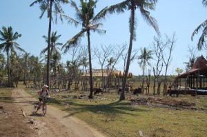 22. sept - Gili T 2 (48)