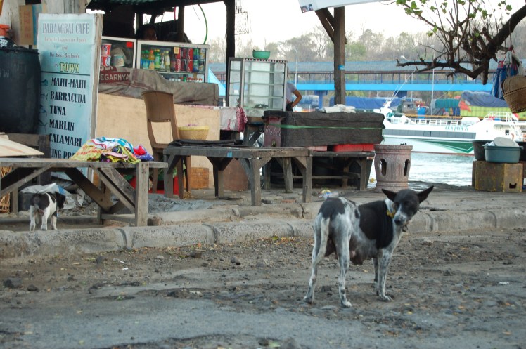 17. sept - Padang Bai (69)