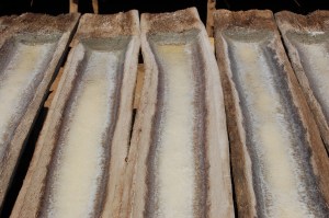 18. sept - Amed (20)