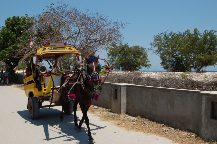 22. sept - Gili T 2 (23)