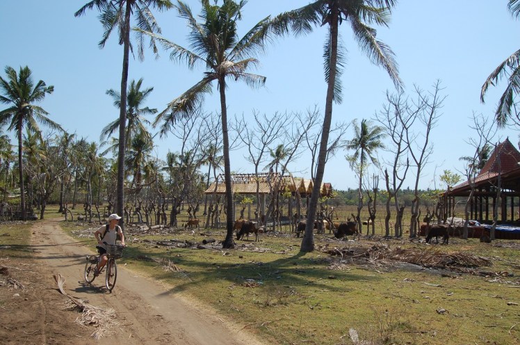 22. sept - Gili T 2 (48)