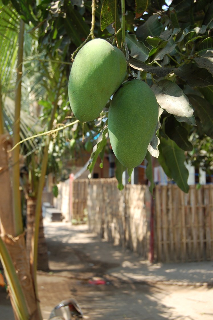 23. sept - Gili Air (24)