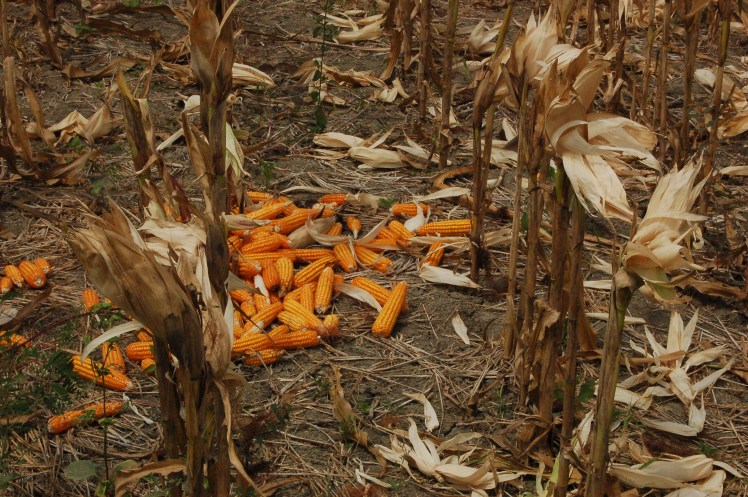 28. sept - Kuta Lombok (27)