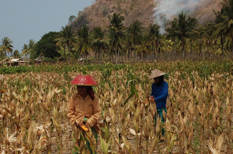 28. sept - Kuta Lombok (28)