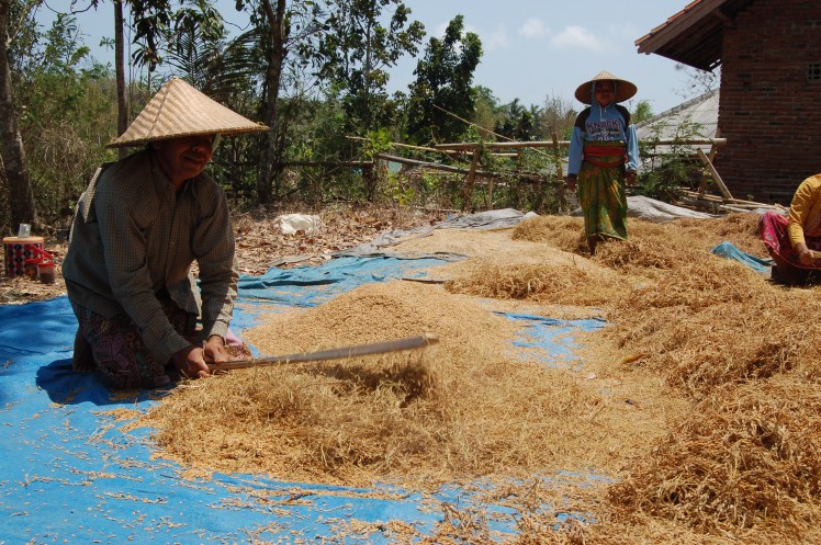 28. sept - Kuta Lombok (47)