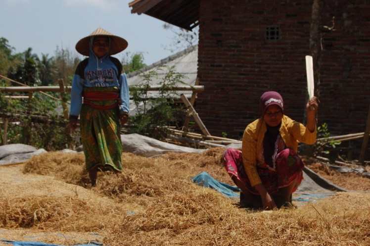 So, we're passing these women who are hitting rice (seperating the rice corn from the shell). Mike and I was about to keep driving after waving to them, when Alex and Laurent stop, get off the scooter and pay them a visit! 