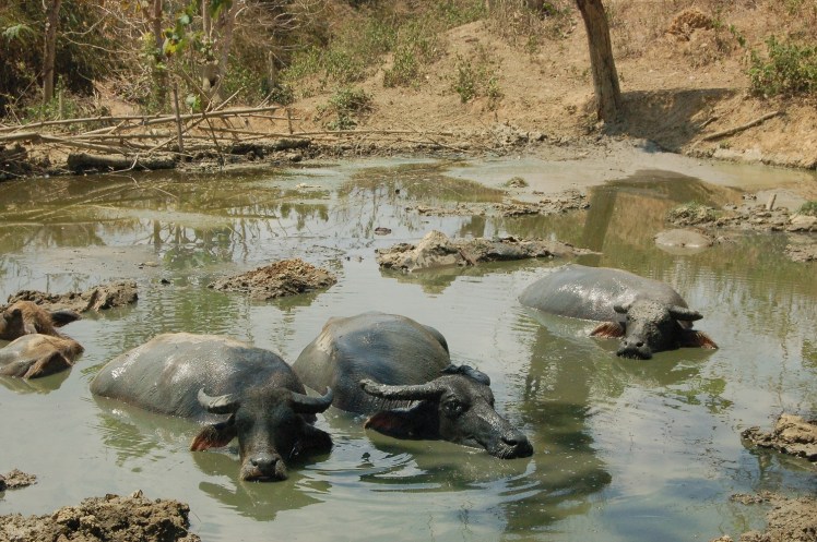 28. sept - Kuta Lombok (59)
