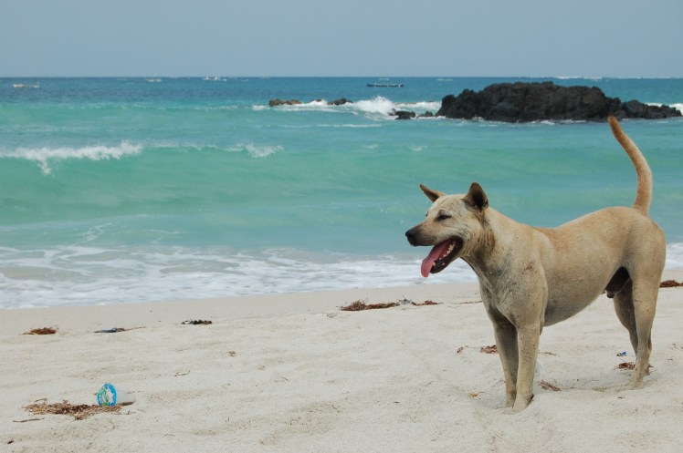 28. sept Kuta Lombok (9)
