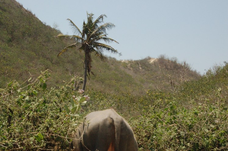 29. sept - Kuta Lombok (16)