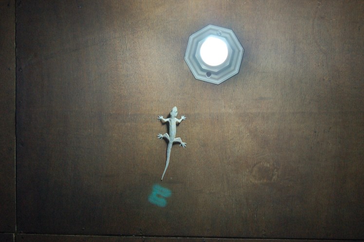 29. sept - Kuta Lombok (2)