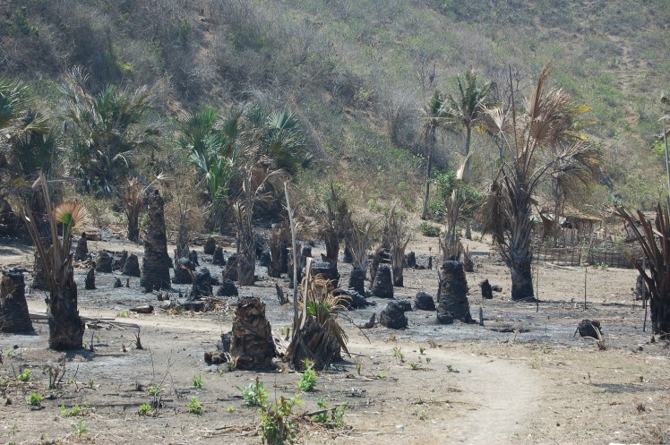 29. sept - Kuta Lombok (28)