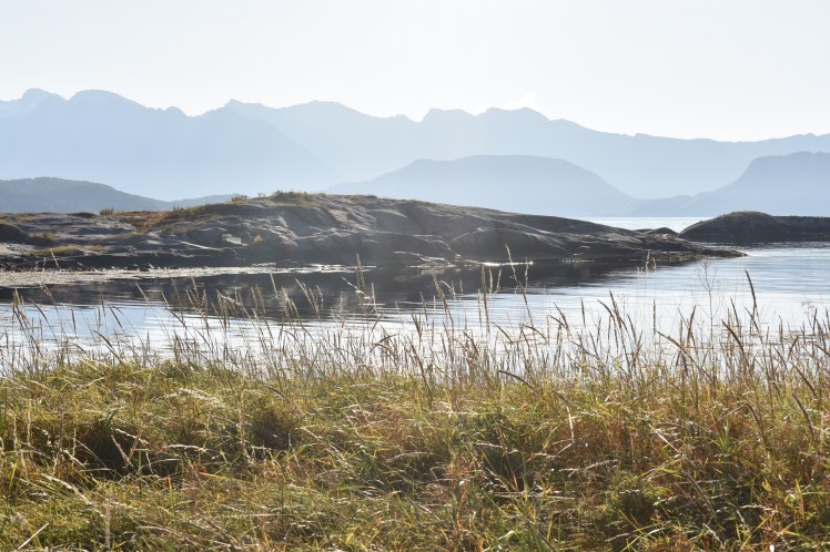 hornneset_oktober17 (10)