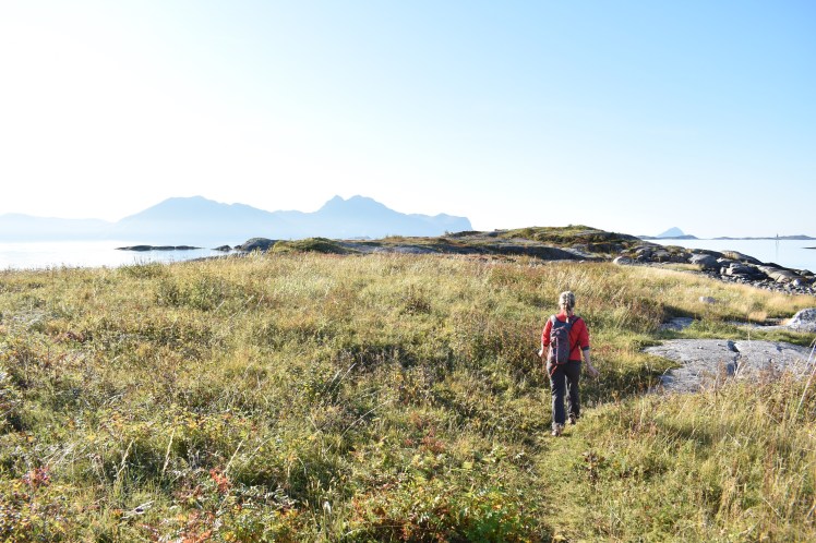 hornneset_oktober17 (12)