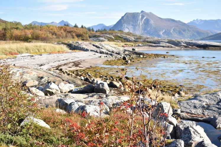 hornneset_oktober17 (2)