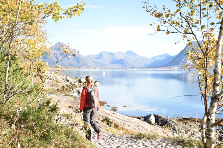 hornneset_oktober17 (4)