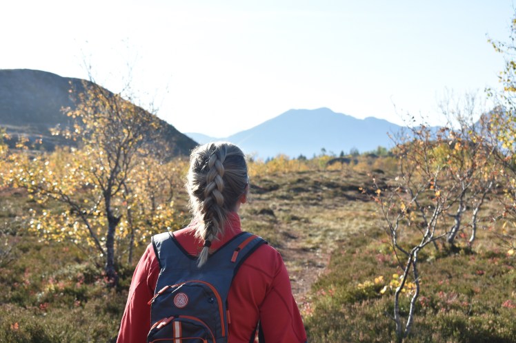 hornneset_oktober17 (6)