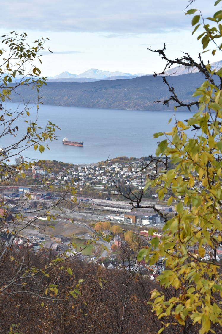 narvik (4)